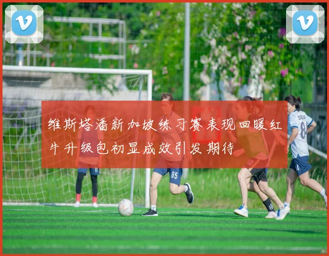 维斯塔潘新加坡练习赛表现回暖红牛升级包初显成效引发期待